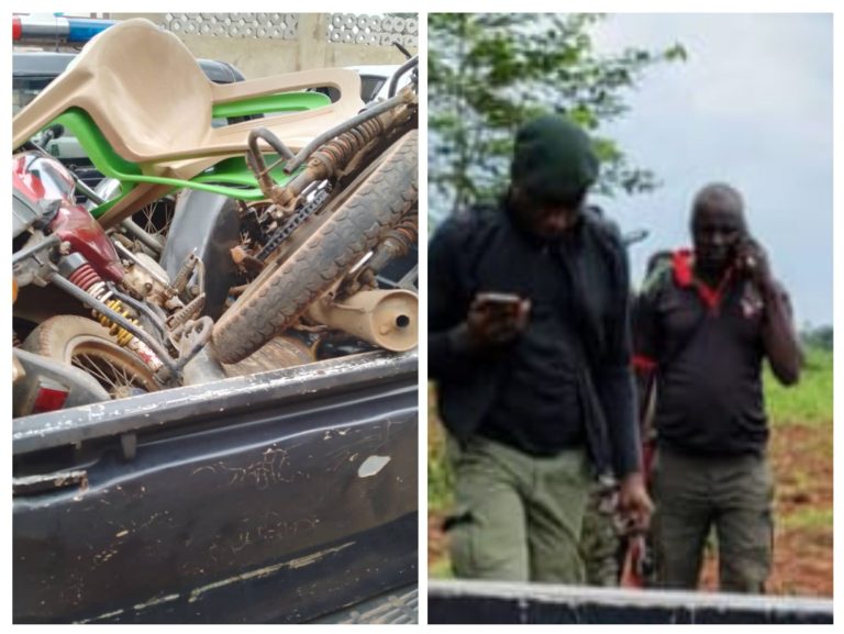 20240918_190834-COLLAGE-2048x1538