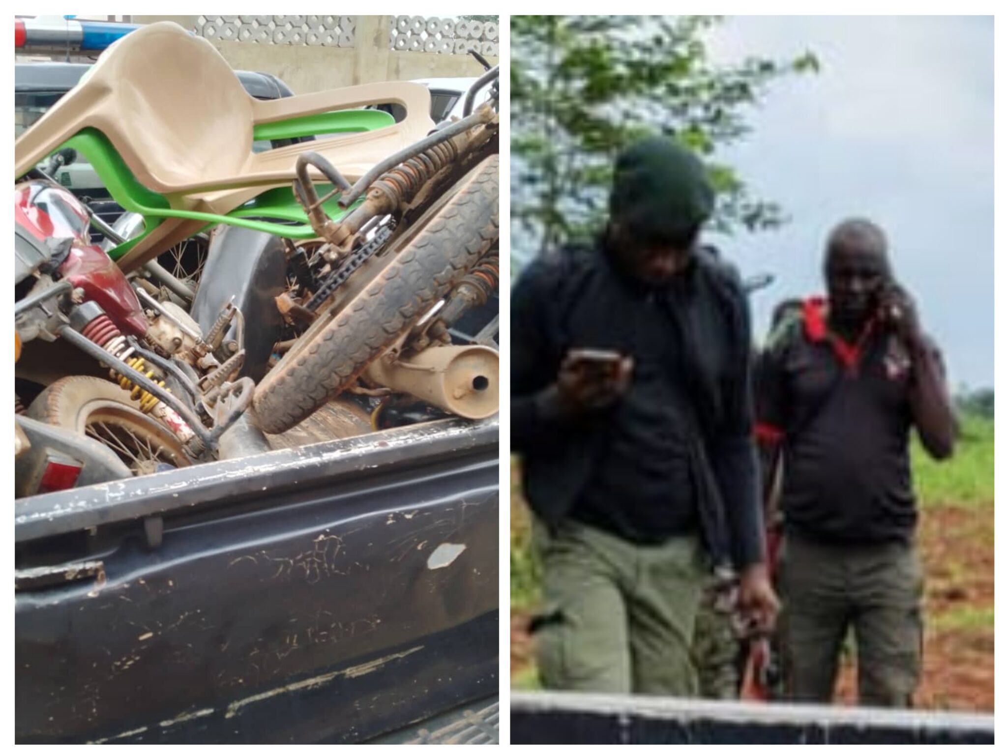 20240918_190834-COLLAGE-2048x1538