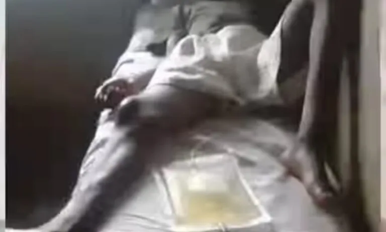 1729897709126-780x470