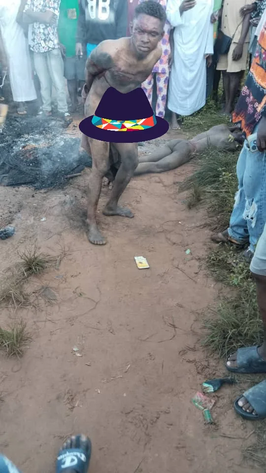 IMG-20241019-WA0013_1