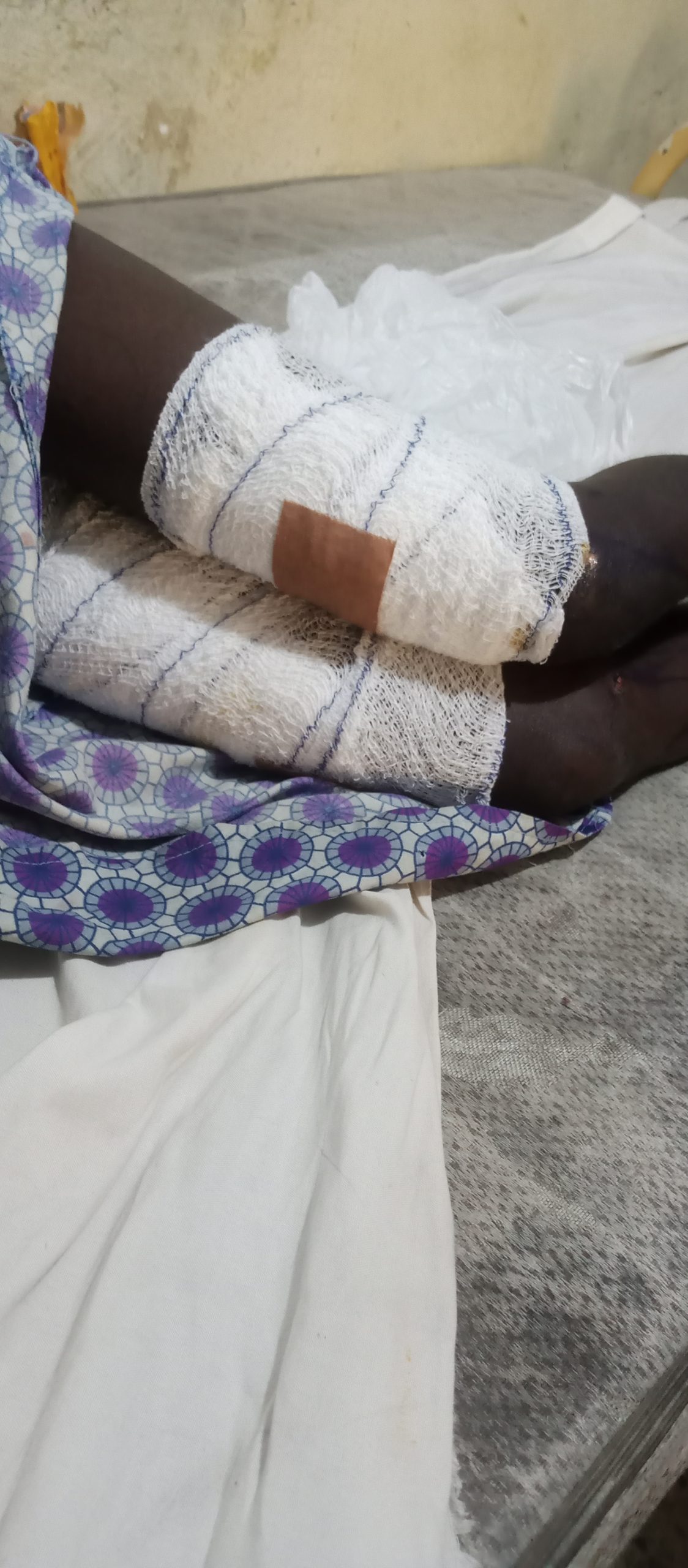 IMG_20241007_103208_976-scaled