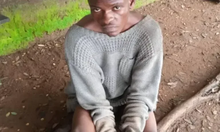 MixCollage-20-Oct-2024-09-35-PM-5405-1rGoIs-780x470