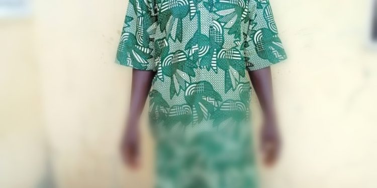 Screenshot_20241012_092302-750x375