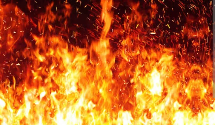 Screenshot_20241026-145320 (1)