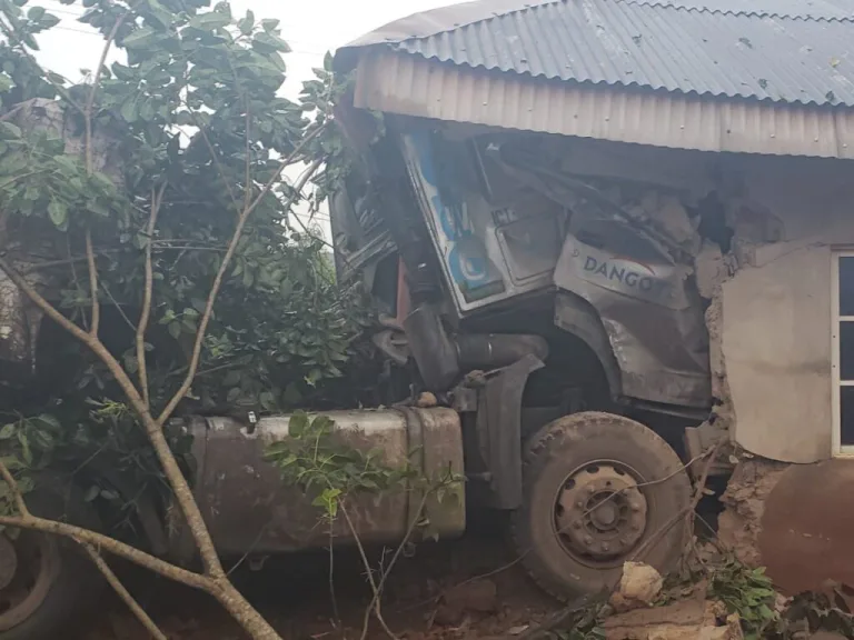 xIMG-20241026-WA0014-1024x768.jpg.pagespeed.ic.Tl3Tr225SF