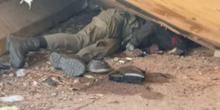 20241107_180907-750x375