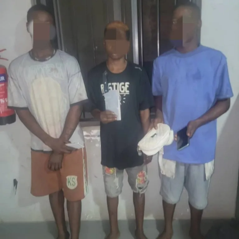 IMG_20241227_112537-1024x1024