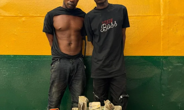 5a8777fd-74c4-45bc-a3c9-14b6fe75c29d-780x470