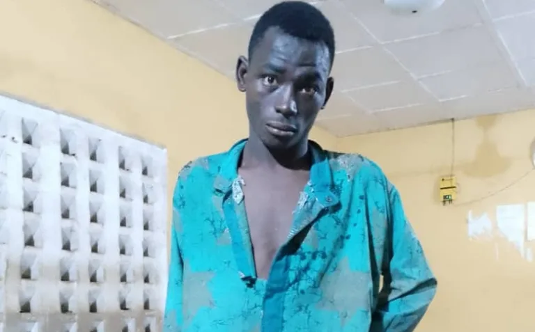 IMG-20250117-WA0009_1