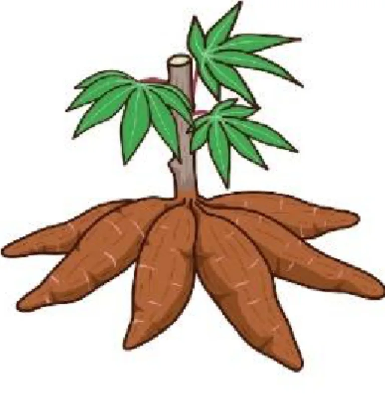 Screenshot_20250126-182138_1