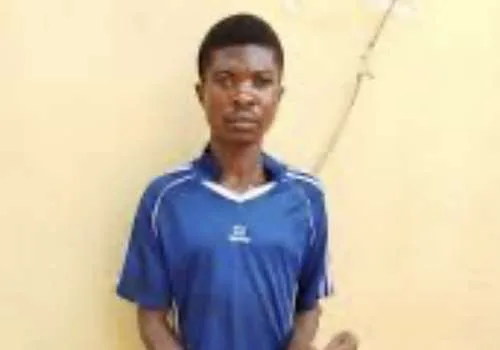 XGltYWdlc1xjb250ZW50XDEyODIwMjU2NDQxM19pbWdfNzg1OC5qcGVnfDUwMHwzNTB8