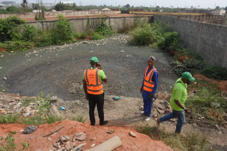 IMG_ORG_1738382412713