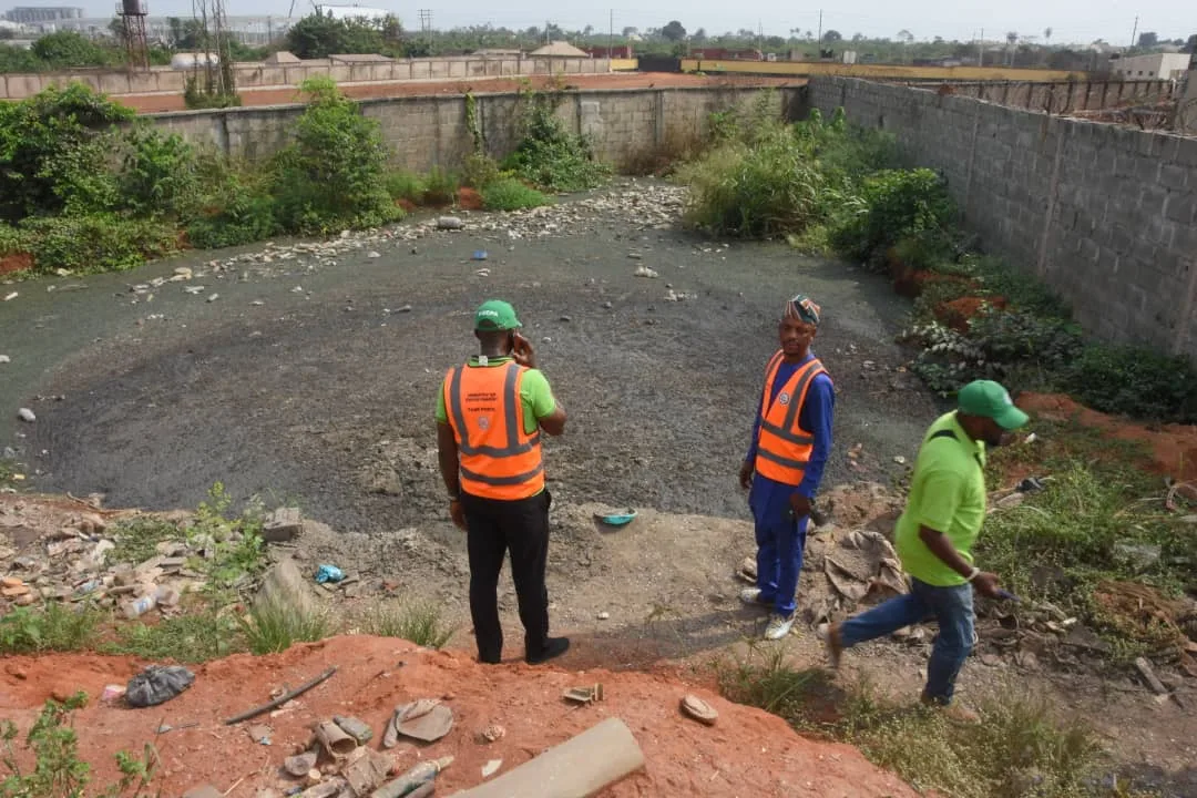 IMG_ORG_1738382412713