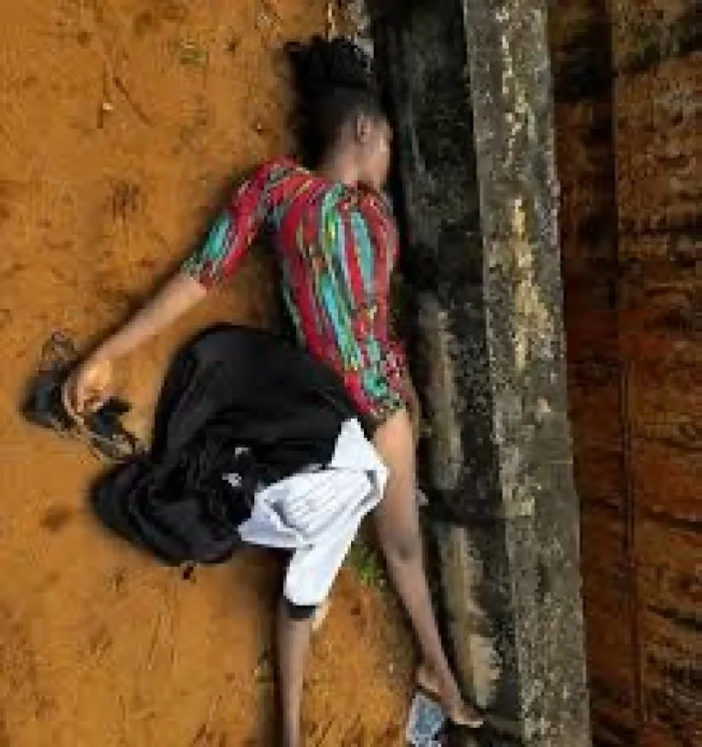 image_870x_681db714a1379