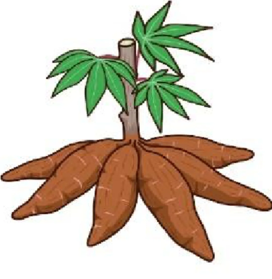 Screenshot_20250126-182138_1