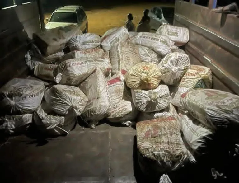 IMG-20260126-WA0161(1)